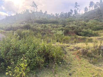 Residential Plot for Sale in Kotagiri, Nilgiris