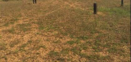 Commercial Land for Rent in Peddapuram, East Godavari