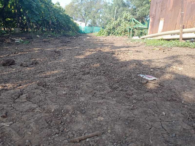 Agricultural Land 5 Guntha for Rent in Adgaon, Nashik