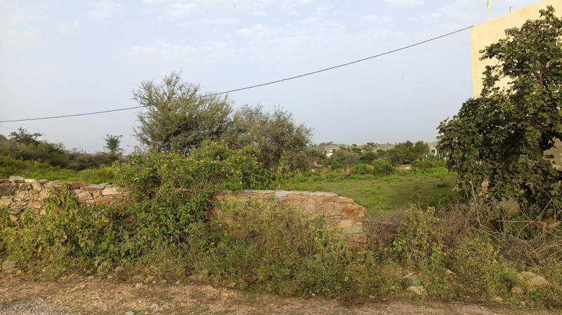  1191 Sq.ft. Residential Plot for Sale in 100 Ft Road, Udaipur