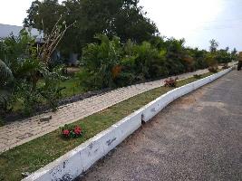  Residential Plot for Sale in Muthanallur, Bangalore