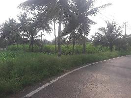  Agricultural Land for Sale in Kadakola, Mysore