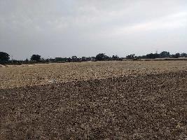  Agricultural Land for Sale in Panna Town