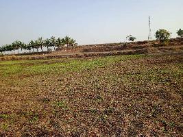  Agricultural Land for Sale in Khanapur, Sangli