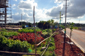  Residential Plot for Sale in Jigani, Bangalore