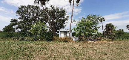  Agricultural Land for Sale in Veppanthattai, Perambalur