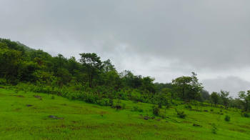  Agricultural Land for Sale in Rajapur, Ratnagiri