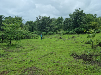  Agricultural Land for Sale in Mhasla, Raigad