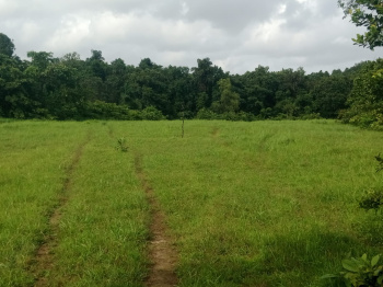  Agricultural Land for Sale in Mandangad, Ratnagiri