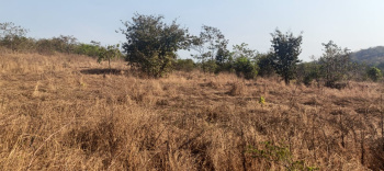  Agricultural Land for Sale in Vaibhavwadi, Sindhudurg