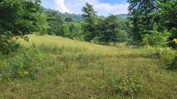  Agricultural Land for Sale in Mahad, Raigad