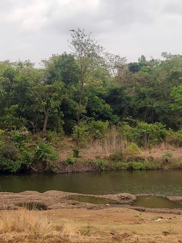  Agricultural Land for Sale in Shrivardhan, Raigad