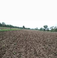  Agricultural Land for Sale in Kapasan, Chittaurgarh