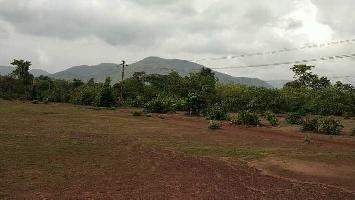  Commercial Land for Sale in Canacona, Goa