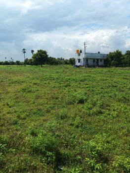  Residential Plot for Sale in Veppampattu, Thiruvallur