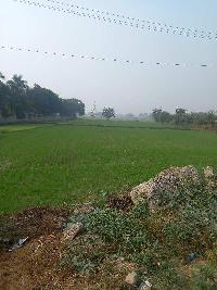  Agricultural Land for Sale in NH 2, Palwal