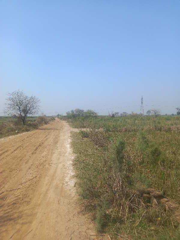 Agricultural Land 10 Acre for Sale in Mandkola, Palwal