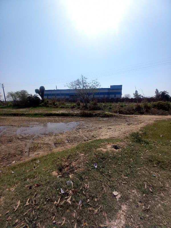 Commercial Land 2200 Sq. Yards for Sale in Baghola, Palwal