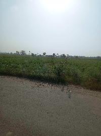  Agricultural Land for Sale in Mandkola, Palwal