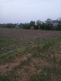  Agricultural Land for Sale in Sunrakh Road, Vrindavan