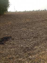  Industrial Land for Sale in Hathin, Palwal