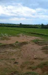  Agricultural Land for Sale in NH 2, Palwal