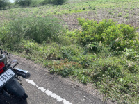  Agricultural Land for Sale in Aruppukkottai, Virudhunagar