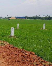  Residential Plot for Sale in Manpur, Gaya