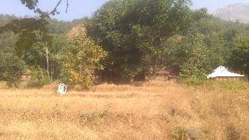  Agricultural Land for Sale in Khed Ratnagiri