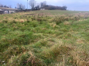  Residential Plot for Sale in Singur, Hooghly