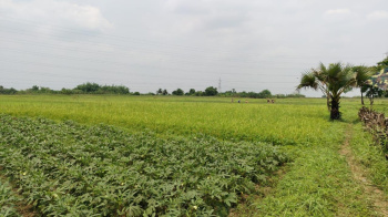  Residential Plot for Sale in Singur, Hooghly