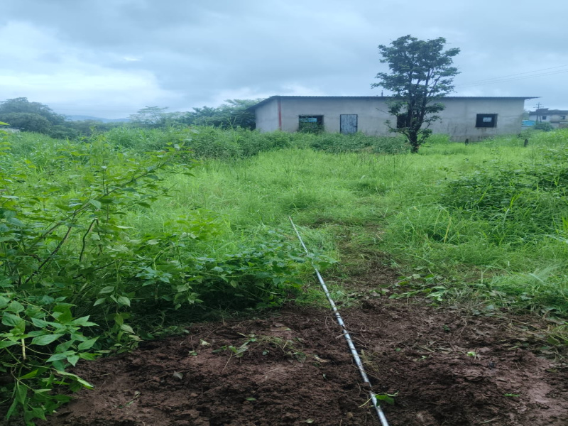  5000 Sq.ft. Commercial Land for Rent in Mangaon, Raigad