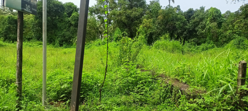  Residential Plot 75 Guntha for Sale in Nagaon, Alibag, Raigad