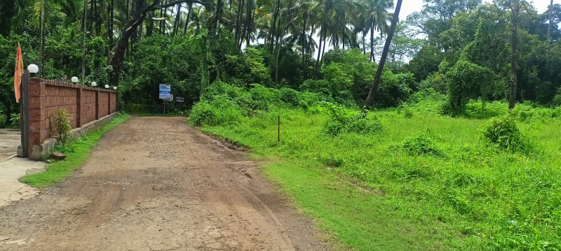  Residential Plot 75 Guntha for Sale in Nagaon, Alibag, Raigad