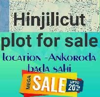  Residential Plot for Sale in Hinjilicut, Ganjam