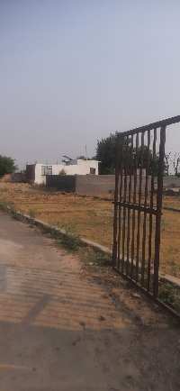  Residential Plot for Sale in Bhanauta, Greater Noida
