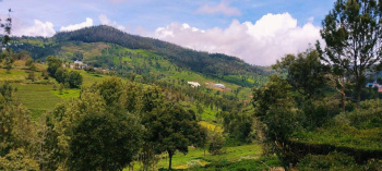  Agricultural Land for Sale in Amghari, Nainital