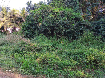  Agricultural Land for Sale in Valpoi, Goa