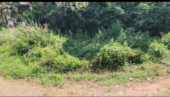  Commercial Land for Sale in Chandor, Goa