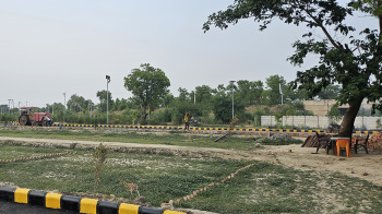  Residential Plot for Sale in Yamuna Expressway, Greater Noida