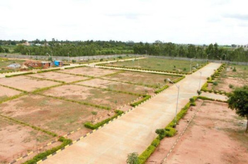  Residential Plot for Sale in Solra, Palwal