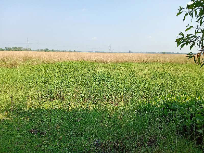 Agricultural Land 5 Bigha for Sale in Rajpur Sonarpur, South 24 Parganas