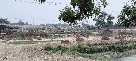  Agricultural Land for Sale in Naamdarpur, Azamgarh