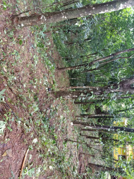  Residential Plot for Sale in Vellarikkundu, Kasaragod