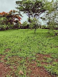  Agricultural Land for Sale in Velhe, Pune