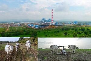  Agricultural Land for Sale in Kumathe, Solapur