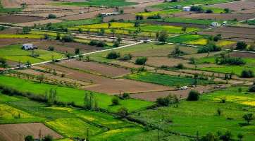  Agricultural Land for Sale in Ratibad, Bhopal