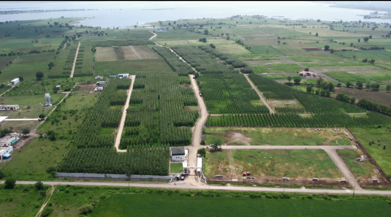  11300 Sq.ft. Agricultural/Farm Land for Sale in Butibori, Nagpur