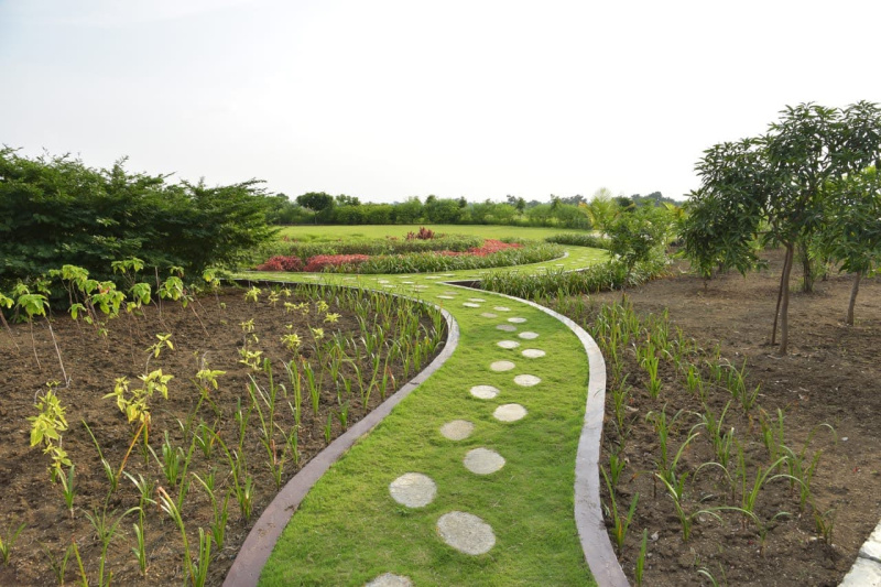  11000 Sq.ft. Agricultural/Farm Land for Sale in Beltarodi, Nagpur