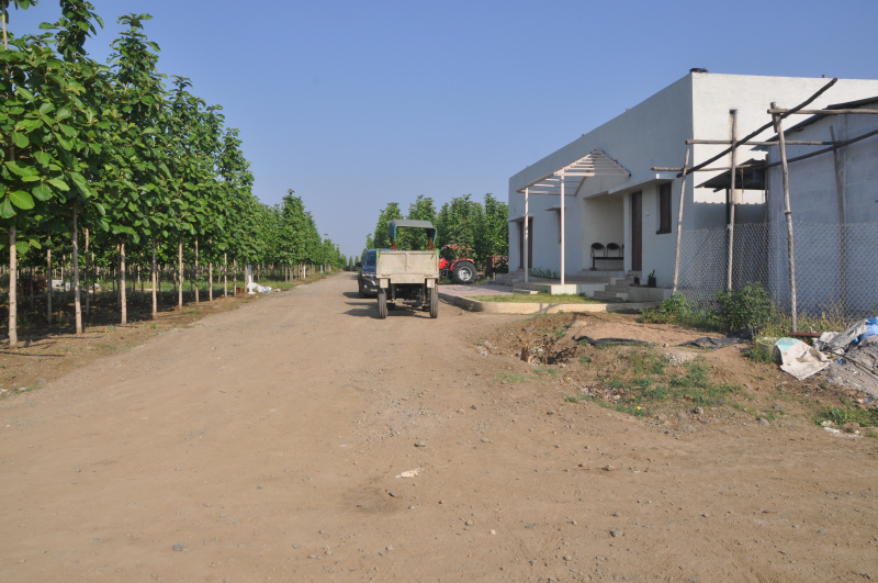  11200 Sq.ft. Agricultural/Farm Land for Sale in Borkhedi, Nagpur